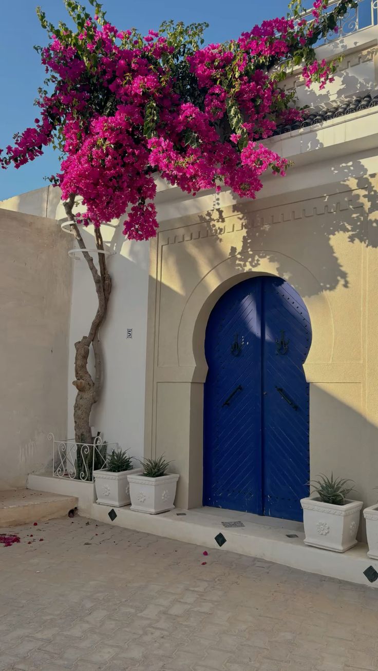 Pourquoi l'huile de pépins de figue de barbarie de Tunisie est différente!